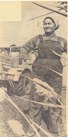 Статьи о Камшат